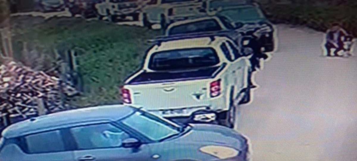 dueño casa cachagua