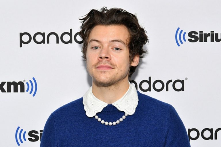 harry styles ladrón