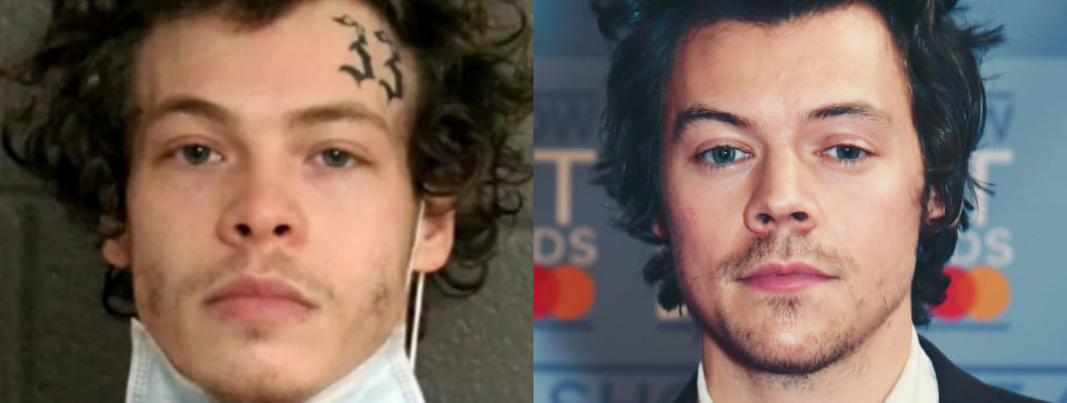 harry styles ladrón
