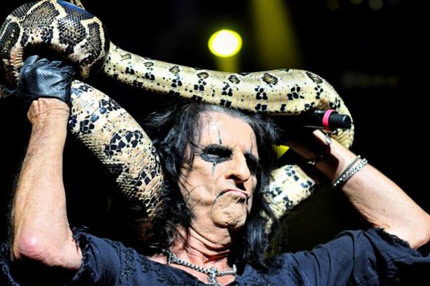 alice cooper momentos