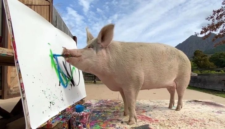 cerdita pintora pigcasso cuadros dolares