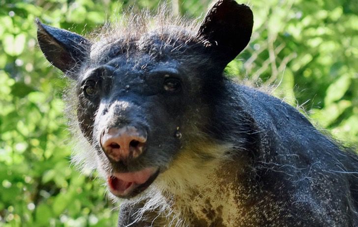 Captura De Pantalla 2021 03 29 A Las 16.35.57