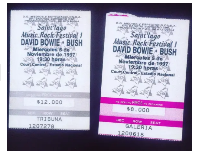 molotov y david bowie