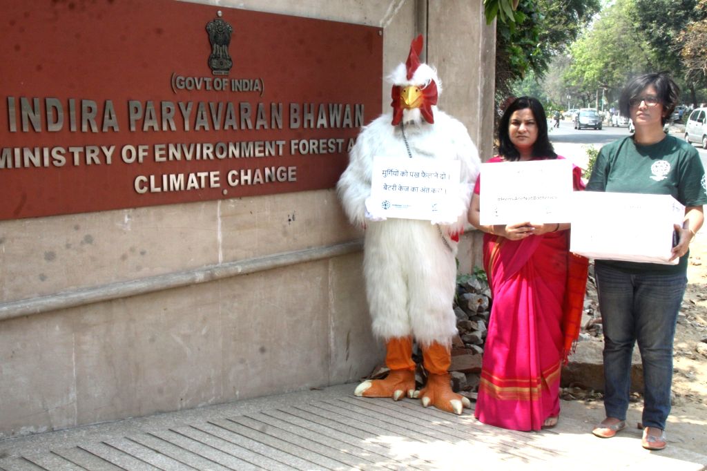 Animal Rights Activist Gauri Maulekhi Stages A 816259