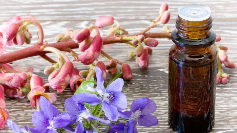 Flores de Bach: ¿De verdad funcionan o son un placebo? — Rock&Pop