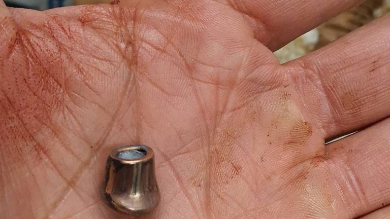 periodista iván núñez