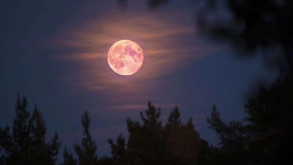 Superluna Rosa