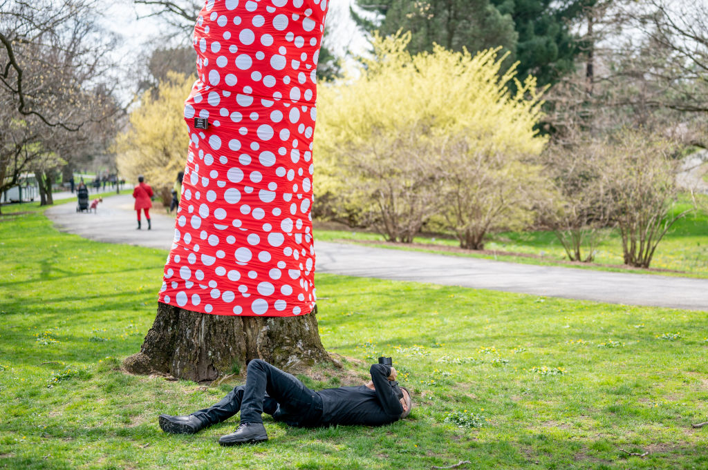 Kusama: Cosmic Nature Exhibit At New York Botanical Garden
