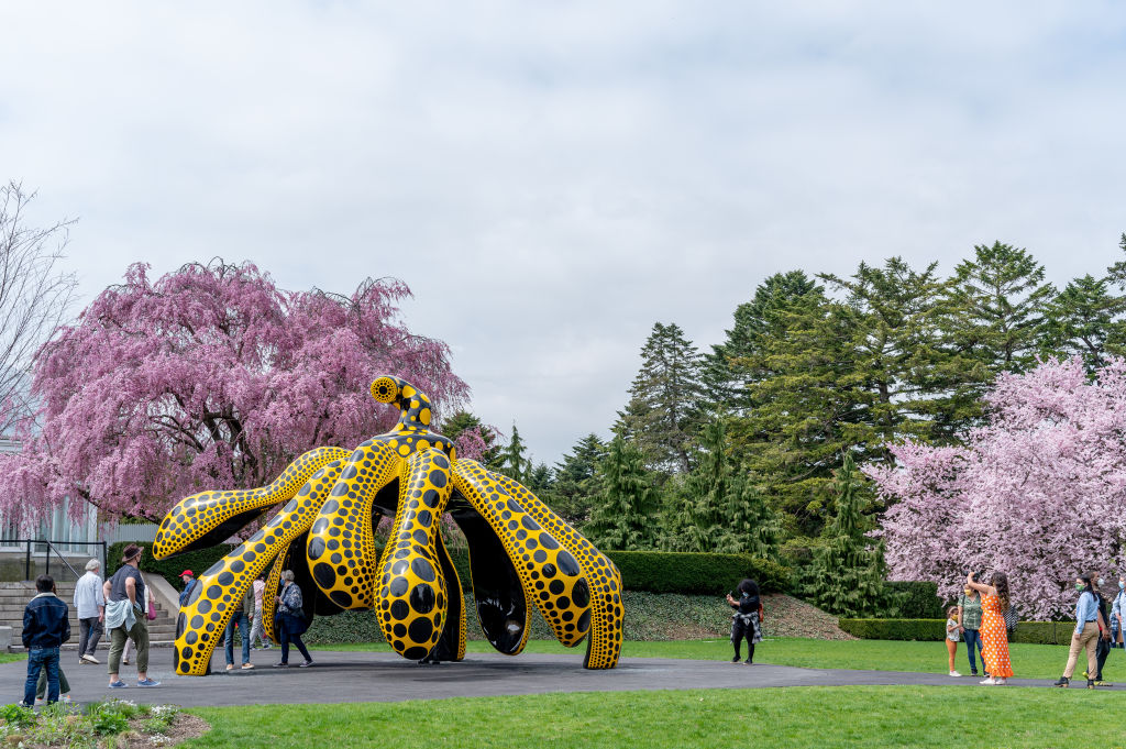 Kusama: Cosmic Nature Exhibit At New York Botanical Garden