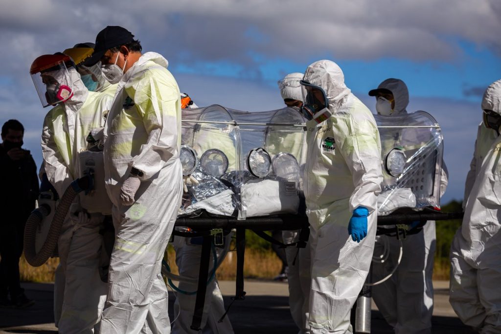 hongo verde coronavirus