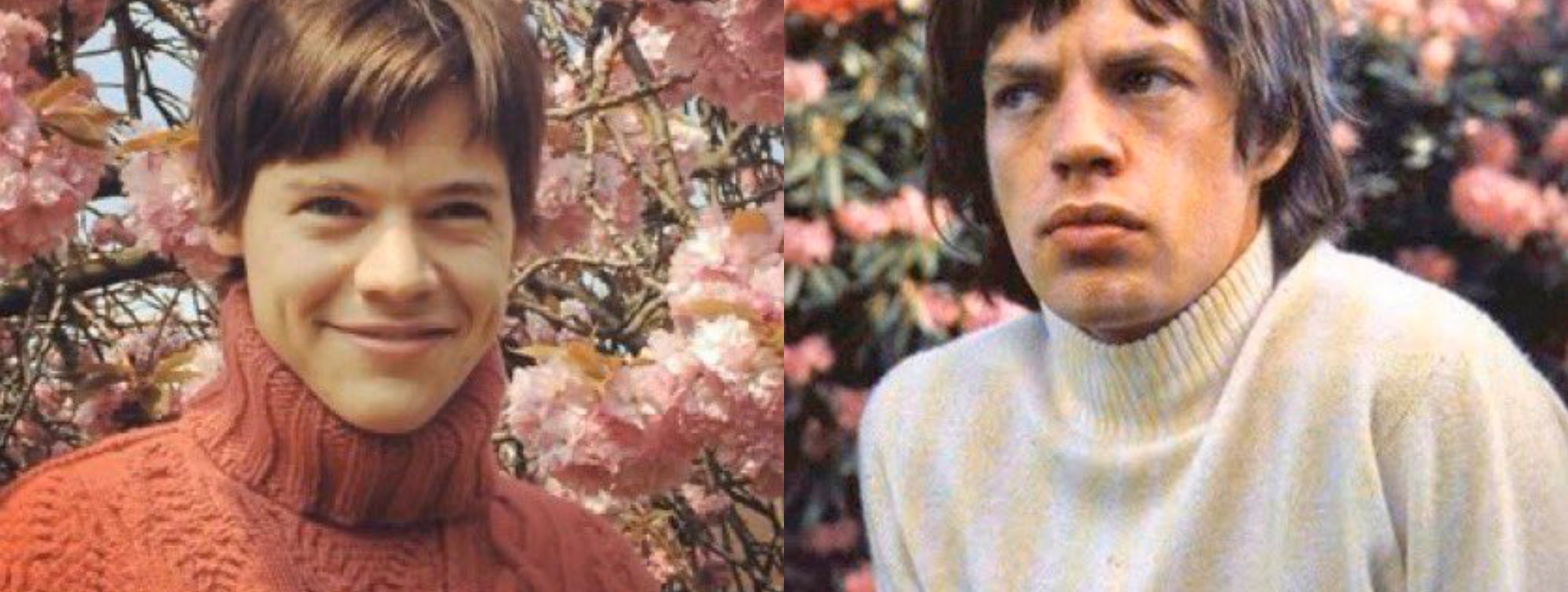 ¿Harry Styles como Mick Jagger? Las fotos de su parecido — Rock&Pop