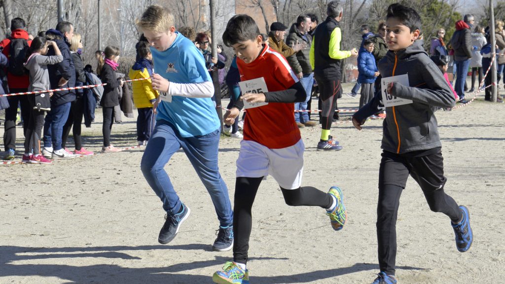 Actividad física Chile