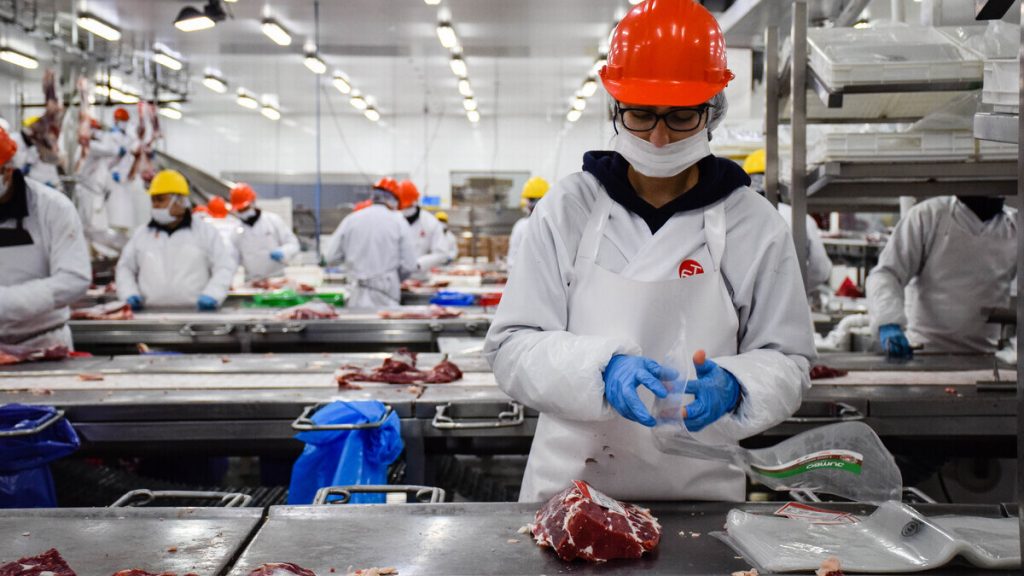 Ley de Protección al Empleo