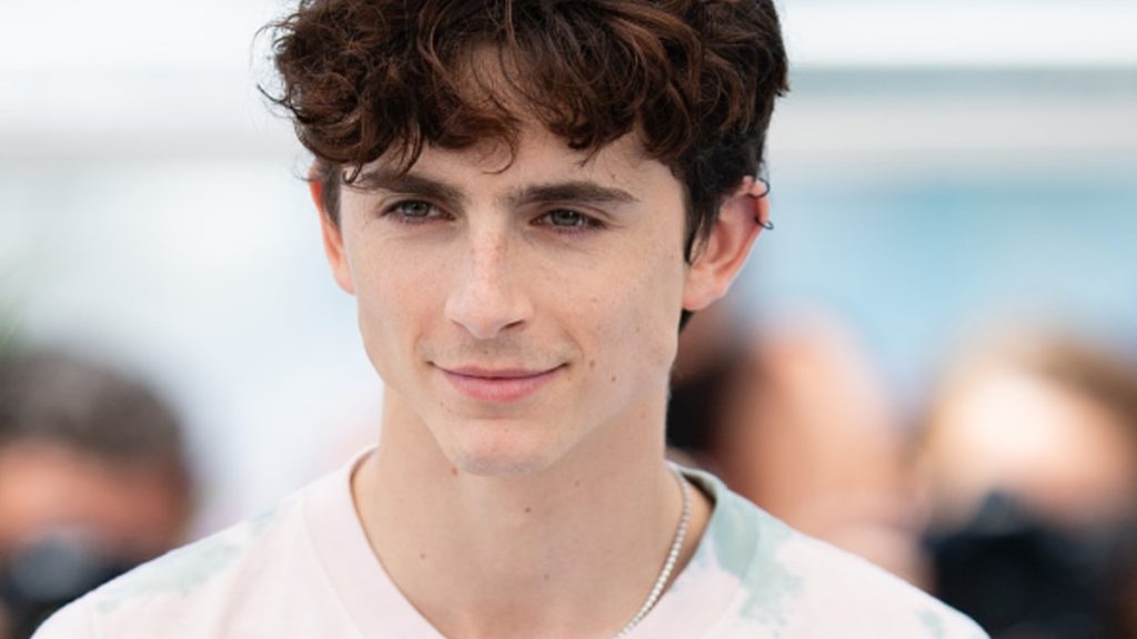 Timothée Chalamet Marvel