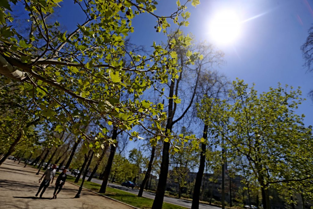 Cuando empieza la primavera