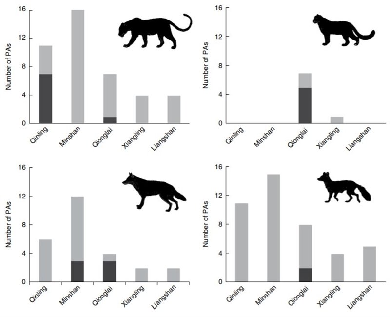 En Gris, Distribución Histórica De 4 Grandes Especies De Carnívoros En 5 áreas Protegidas De China. En Negro Distribución Actual   SHENG LI ET AL