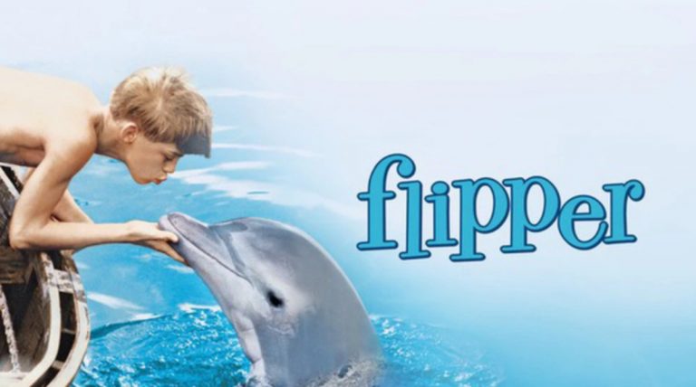 Flipper (1)