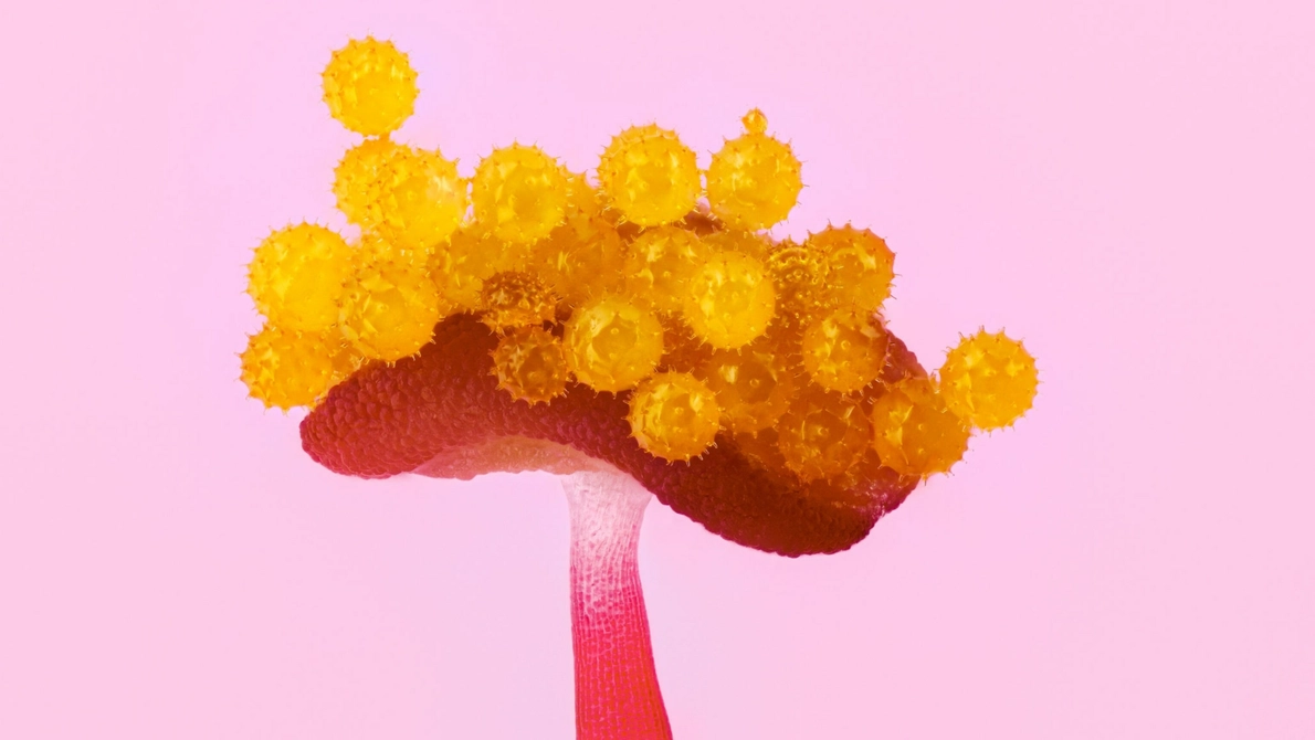 GUILLERMO LÓPEZ LÓPEZ