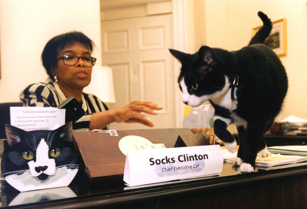SOCKS CLINTON THE CAT