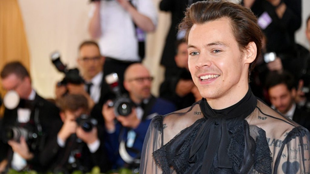 Harry Styles Watermelon Sugar