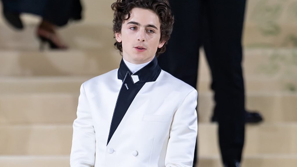Timothée Chalamet Wonka