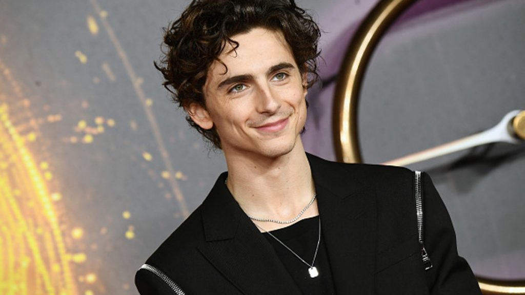 Timothée Chalamet Ley y el Orden