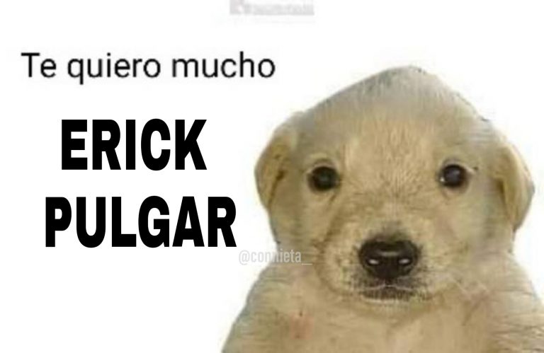 Erick Pulgar