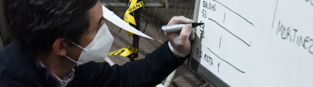 Cómo Se Realiza El Escrutinio De Votos Servel 2