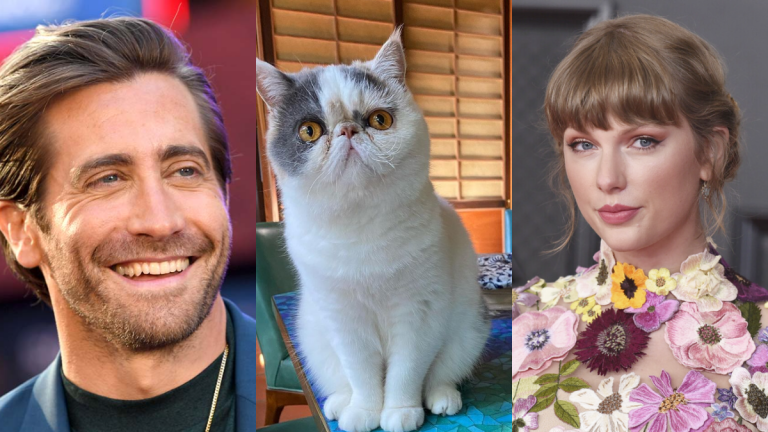 taylor swift jake gyllenhaal scarf bufanda roja a rallas gata gato ms. fluffy skin del actor red taylor's version all too well extended cancion dedicado que dijo se refiere