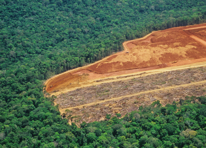 Deforestation In The Amazon