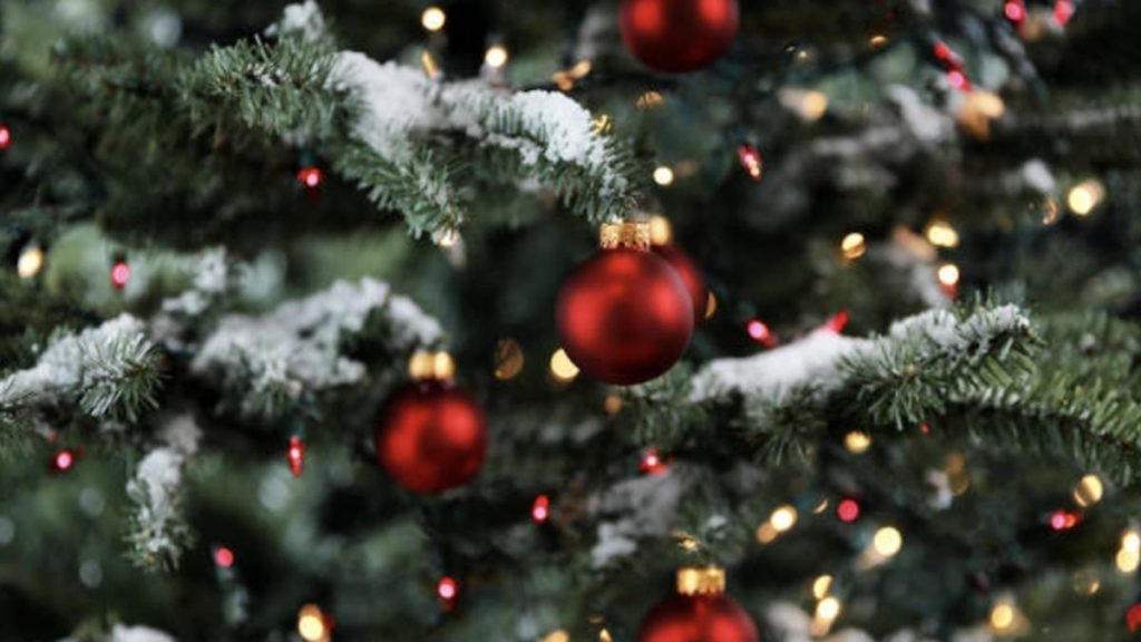 Aguinaldo De Navidad 2021 Pensionados Sector Publico Beneficiarios