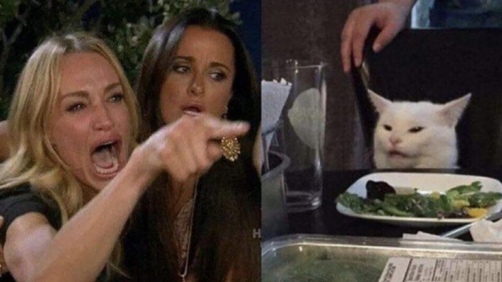 Meme De Una Mujer Gritando Me Dijiste Que A Un Gato