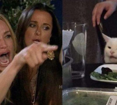 Meme De Una Mujer Gritando Me Dijiste Que A Un Gato