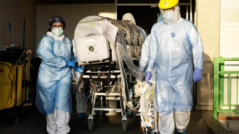 Variante Nueva Covid 19 Coronavirus Cepa Africa Europa