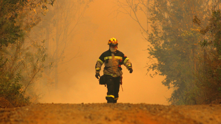 Incendios forestales