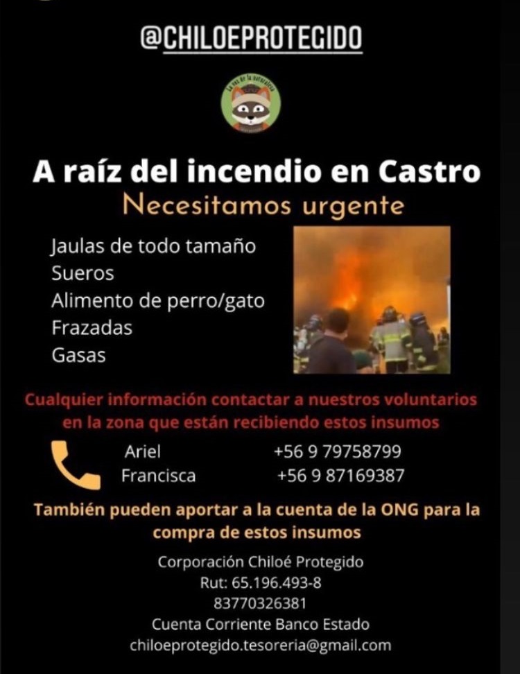 campaña de ayuda chiloe donar