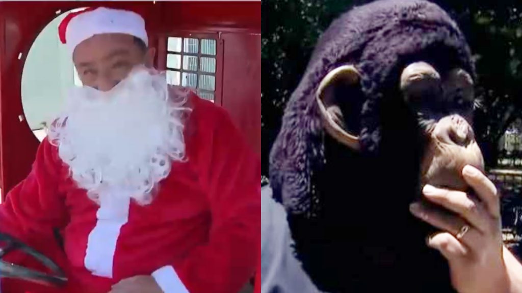 Disfraces Disfraz Segunda Vuelta Presidencial Elecciones 2021 Gente Personas Que Fueron A Votar A Su Mesa Local Mascaras