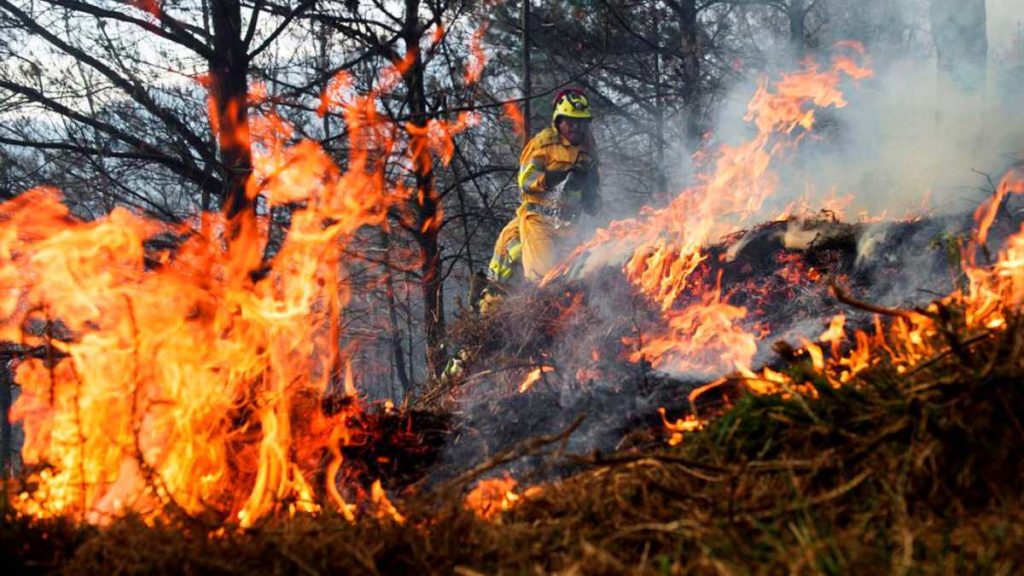 Incendios Forestales
