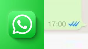 Whatsapp Tercera Tilde Cuándo Se Implementará La Pondrán Estará Disponible Qué Significa Cuál Es Su Significado