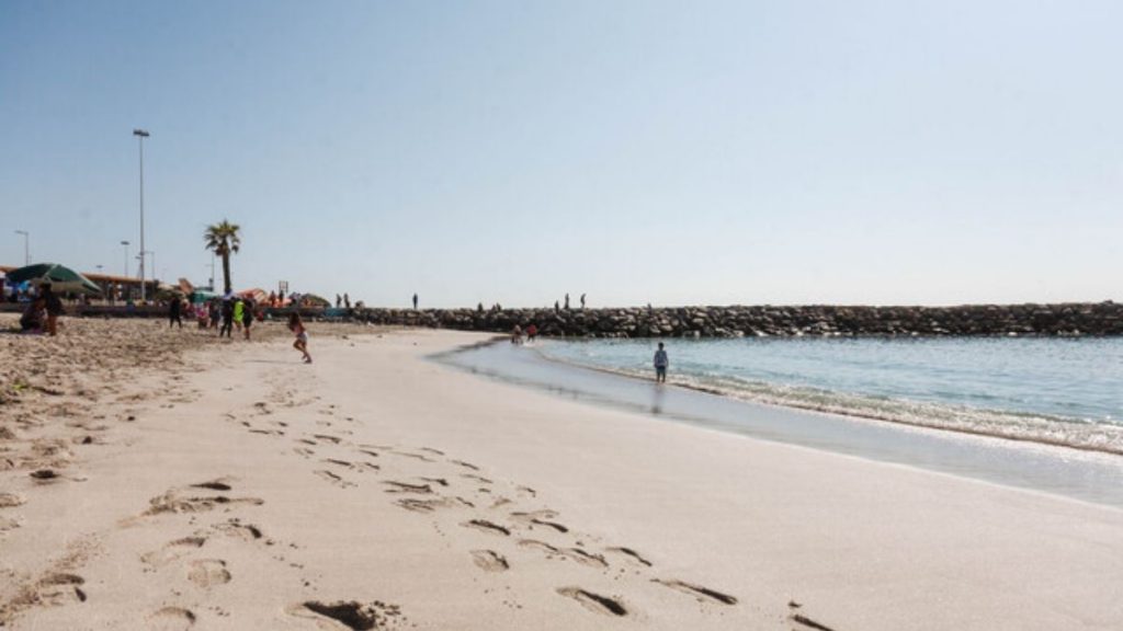 Onemi Estado de Precaución