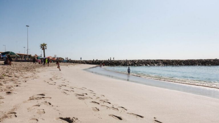 Onemi Estado de Precaución