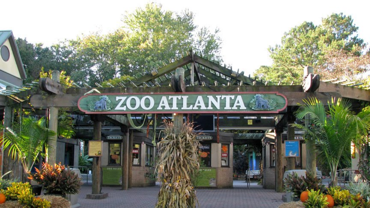 Zoológico De Atlanta
