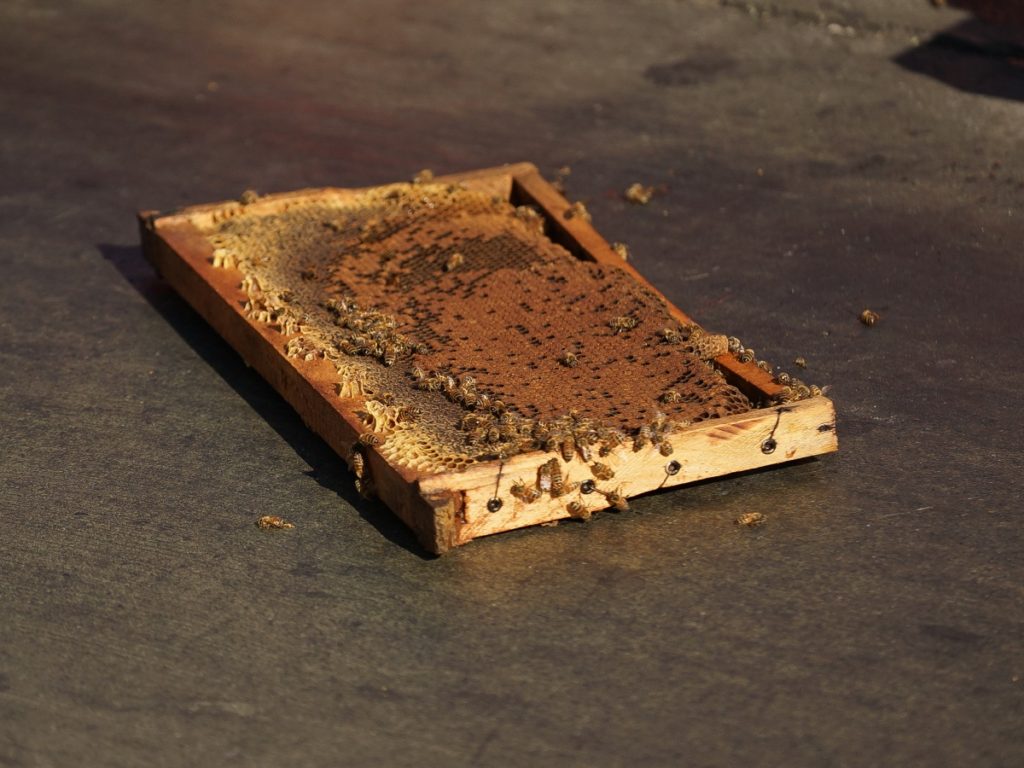 Francisco Castillo | Agencia UNO