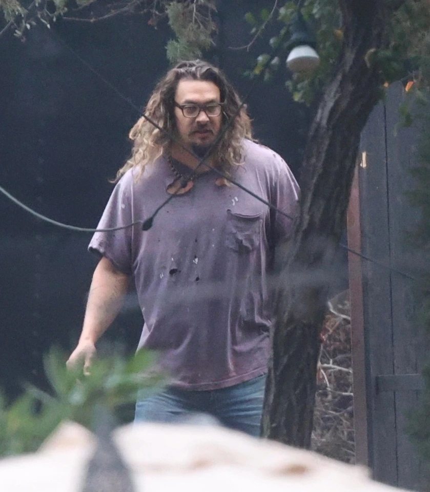 Jason Momoa Furgoneta Separacion Lisa Bonet