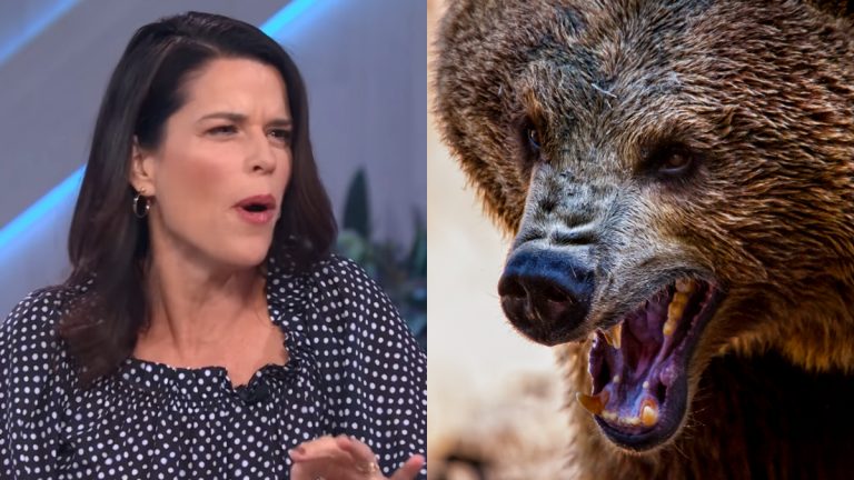 Neve Campbell Scream Oso Franquicia Pelicula Como Verla Como La Ataco Quien La Salvo