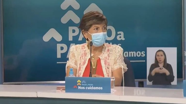 Subsecretaria Maria Teresa Valenzuela Minsal De Salud Publica Dice Que No A Enrique Paris