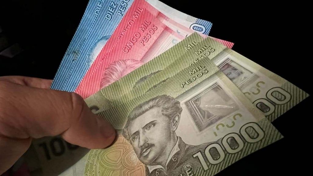 Subsidio Protege Requisitos Postular