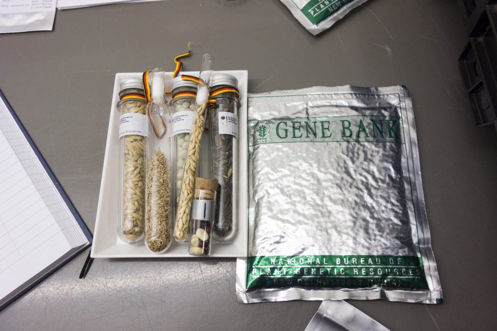 Bóveda Del Fin Del Mundo 3