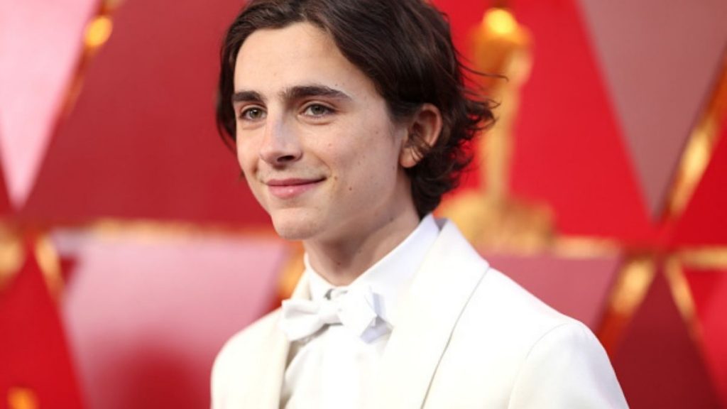 Timothée Chalamet Willy Wonka