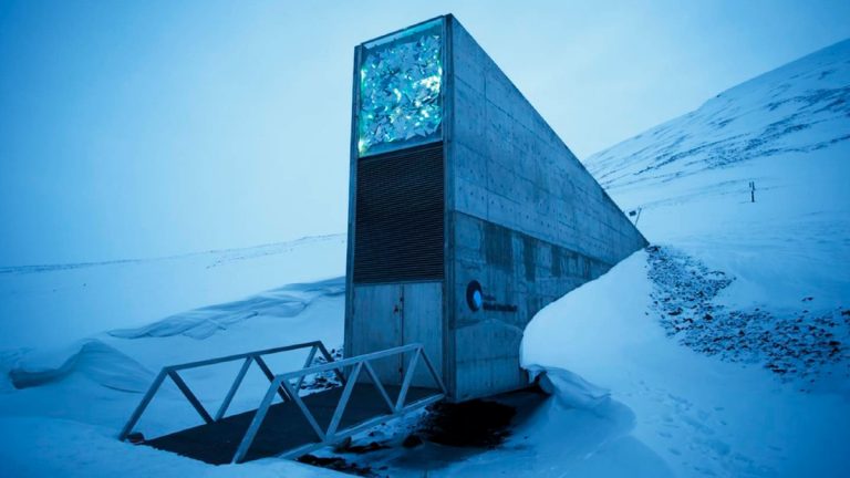 Bóveda Del Fin Del Mundo Semillas Cosechas